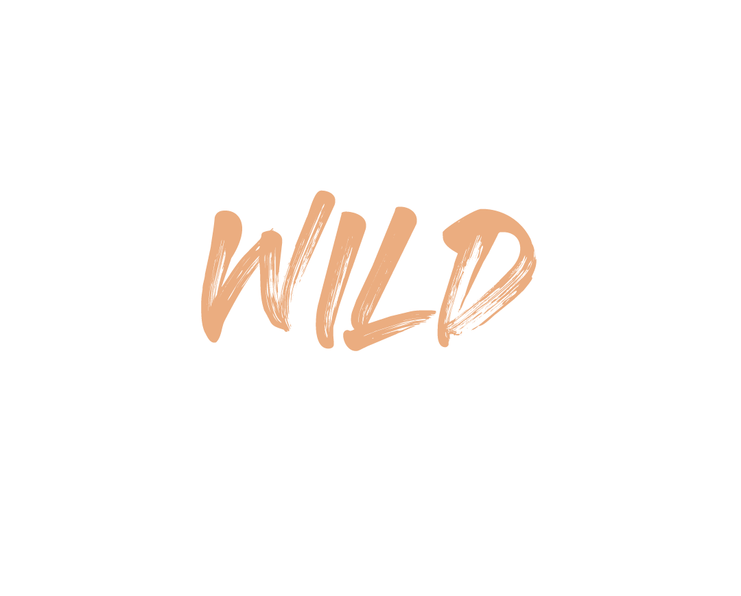 Agence Be Wild